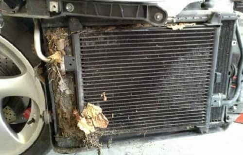 Cleaning Your Porsche Boxster Radiators