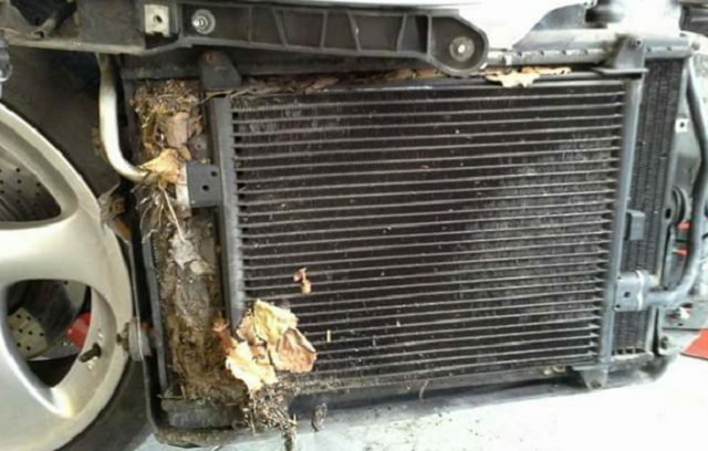 Debris in a Porsche Boxster Radiator